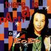 DJ Bobo - The Ultimate Megamix 99