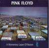 Pink Floyd - A Momentary Lapse Of Reason