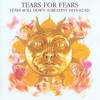 Tears For Fears - Tears Roll Down (hits)