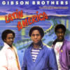 GIBSON BROTHERS - The Videos (DVD)