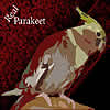 The Real Parakeet - Automatic Workers